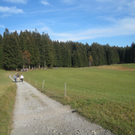 Eichenberg Wanderung M__ggersrunde 06-11-2011 _30__jpg-1320620780