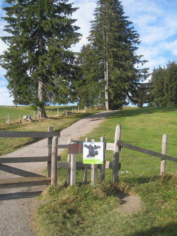Eichenberg Wanderung M__ggersrunde 06-11-2011 _34__jpg-1320620796