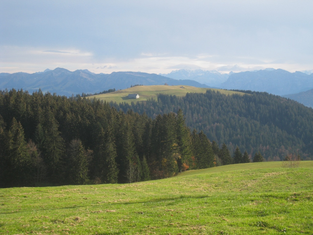 Eichenberg Wanderung M__ggersrunde 06-11-2011 _35__jpg-1320620799