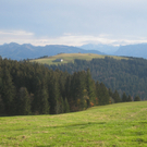 Eichenberg Wanderung M__ggersrunde 06-11-2011 _35__jpg-1320620799