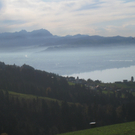 Eichenberg Wanderung M__ggersrunde 06-11-2011 _42__jpg-1320620826
