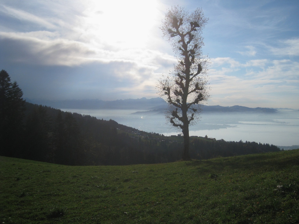 Eichenberg Wanderung M__ggersrunde 06-11-2011 _44__jpg-1320620831