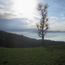 Eichenberg Wanderung M__ggersrunde 06-11-2011 _44__jpg-1320620831