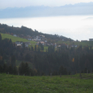 Eichenberg Wanderung M__ggersrunde 06-11-2011 _46__jpg-1320620838