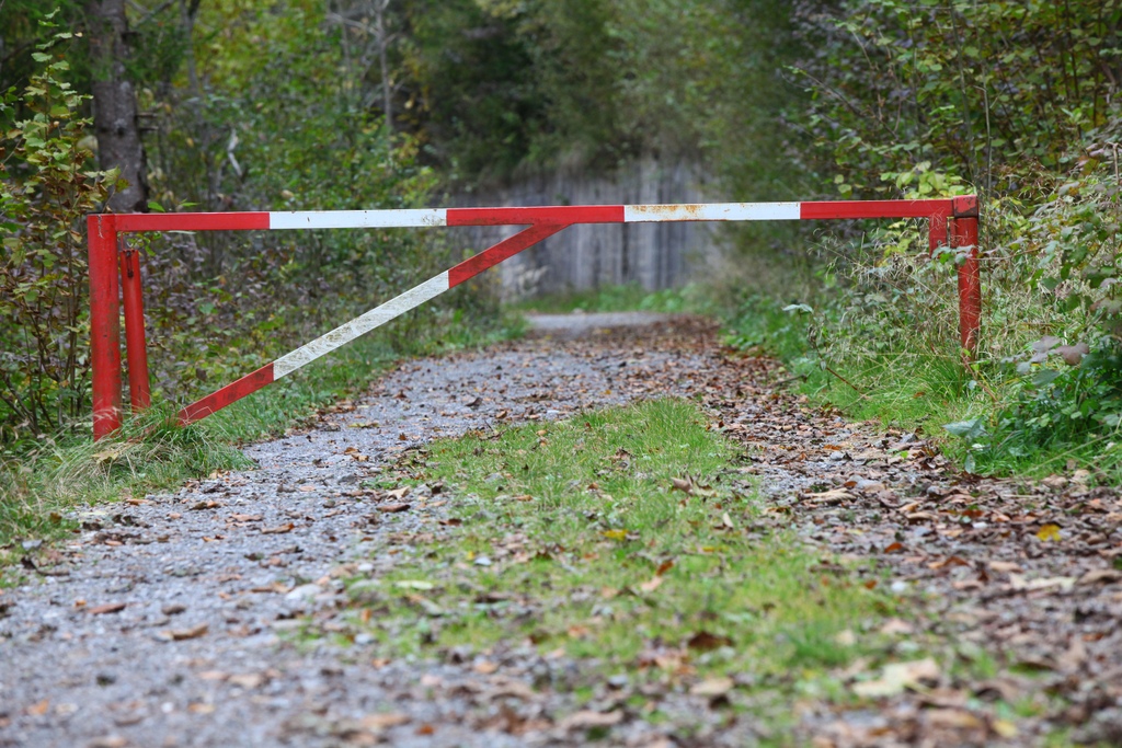 Wa__lderbahntrasse Langenegg01.jpg