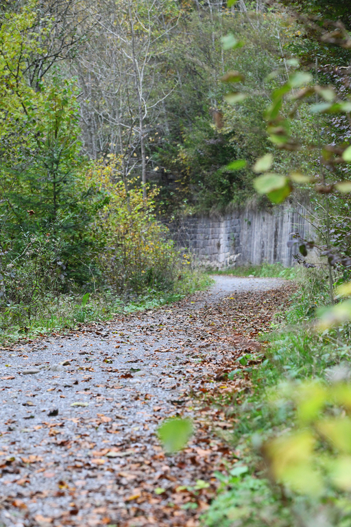 Wa__lderbahntrasse Langenegg05.jpg