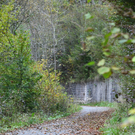 Wa__lderbahntrasse Langenegg05.jpg