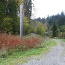 Wa__lderbahntrasse Langenegg15.jpg