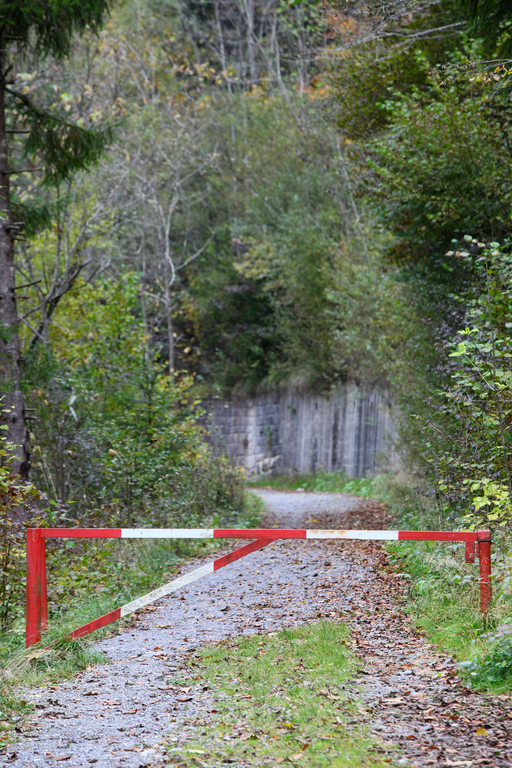 Wa__lderbahntrasse Langenegg16.jpg