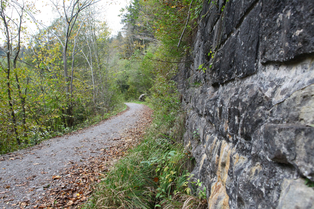 Wa__lderbahntrasse Langenegg10.jpg