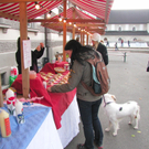 BK_gisinger_m__rktle 6.jpg