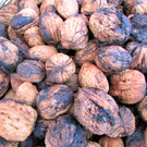 BK_gisinger_m__rktle 27.jpg