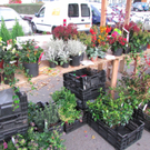 BK_gisinger_m__rktle 31.jpg