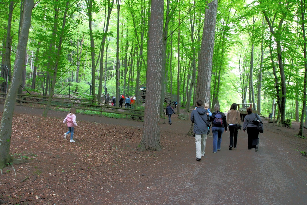 KOE_Wildpark W__lfe 3_jpg-1320660131