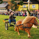 normal_06112011fmt_leonhardireiten11_ex_03.JPG