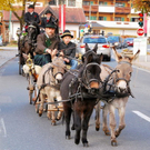 normal_06112011fmt_leonhardireiten11_ex_10.JPG