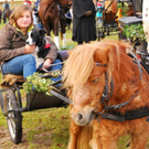 normal_06112011fmt_leonhardireiten11_ex_23.JPG