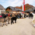 normal_06112011fmt_leonhardireiten11_ex_32.JPG