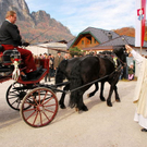 normal_06112011fmt_leonhardireiten11_ex_34.JPG