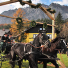 normal_06112011fmt_leonhardireiten11_ex_37.JPG