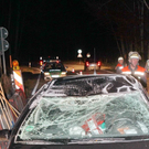 normal_05112011vub305inzellffaktivnews_08.jpg