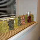 Heilplanzenkurs_Nov2011 002.JPG