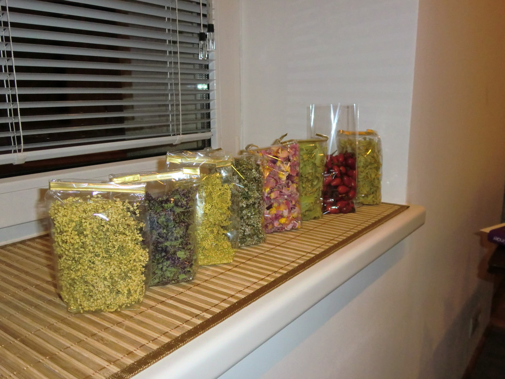 Heilplanzenkurs_Nov2011 002.JPG