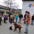 DSC00411.JPG