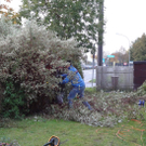 Garten1d_jpg-1320682442