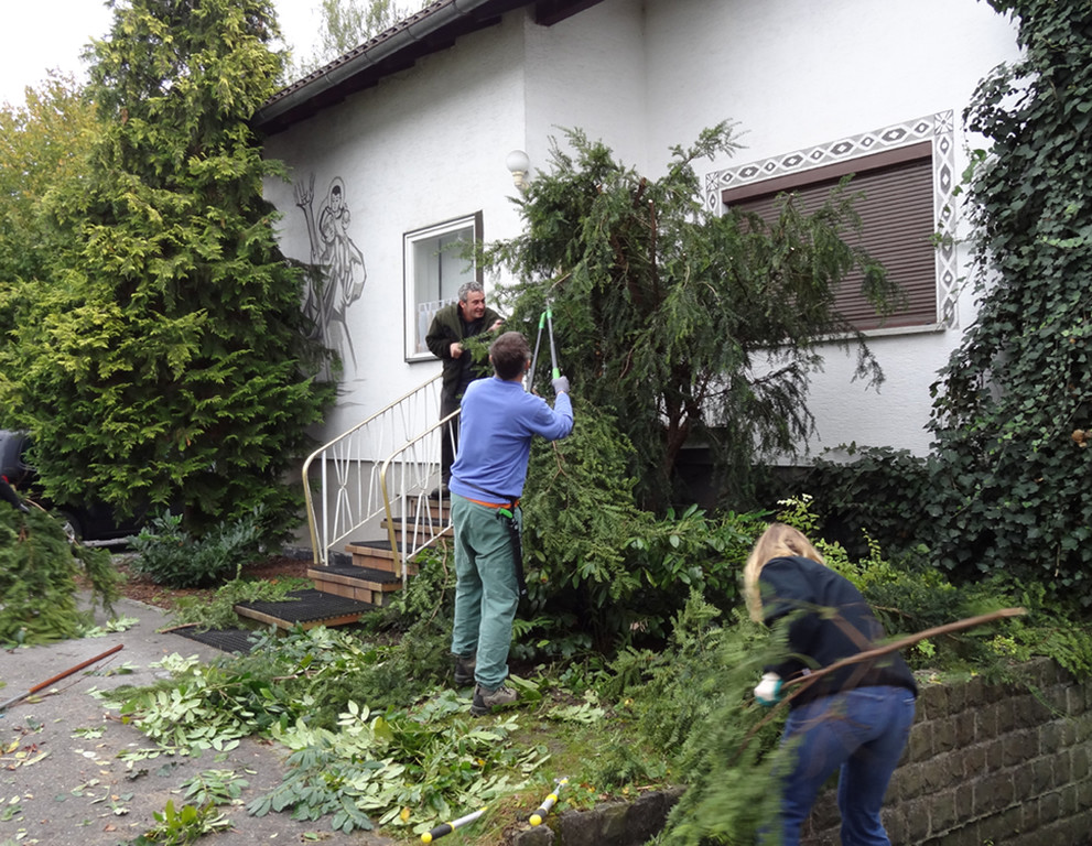 Garten1f_jpg-1320682495