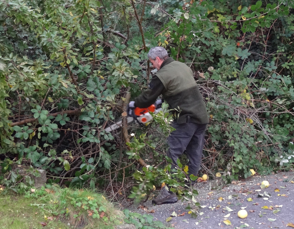 Garten1g_jpg-1320682537