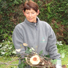 Garten1h __jpg-1320682580