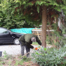 Garten1i_jpg-1320682624