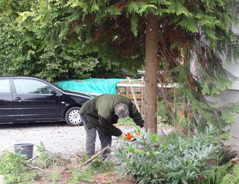 Garten1i_jpg-1320682624