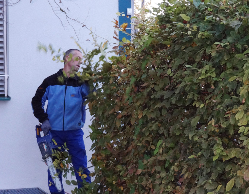 Garten1j_jpg-1320682663