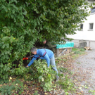 Garten1l_jpg-1320682742