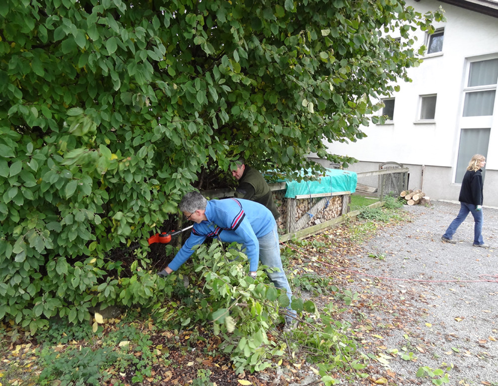 Garten1l_jpg-1320682742