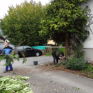 Garten1n_jpg-1320682788