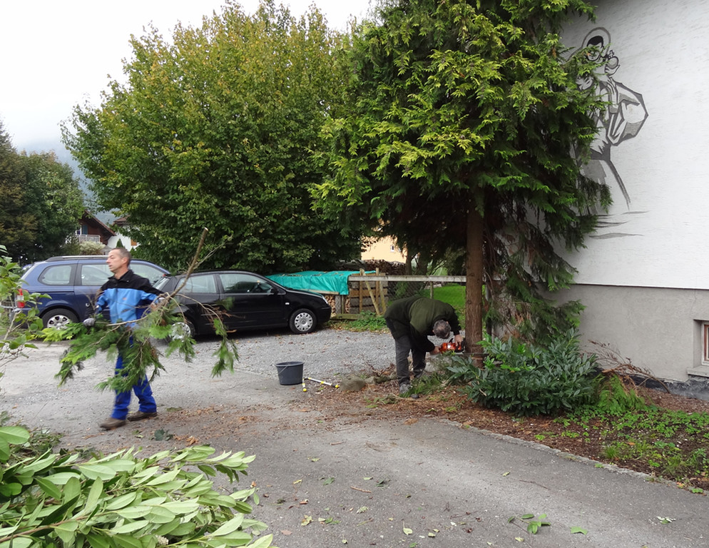 Garten1n_jpg-1320682788