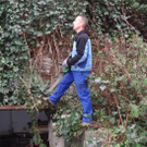 Garten16_jpg-1320682870