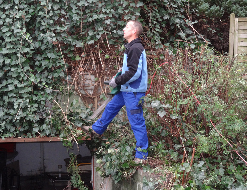 Garten16_jpg-1320682870