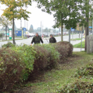 Garten17_jpg-1320682928