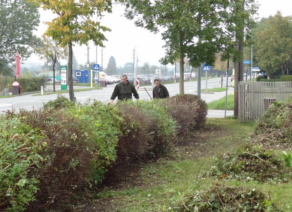 Garten17_jpg-1320682928