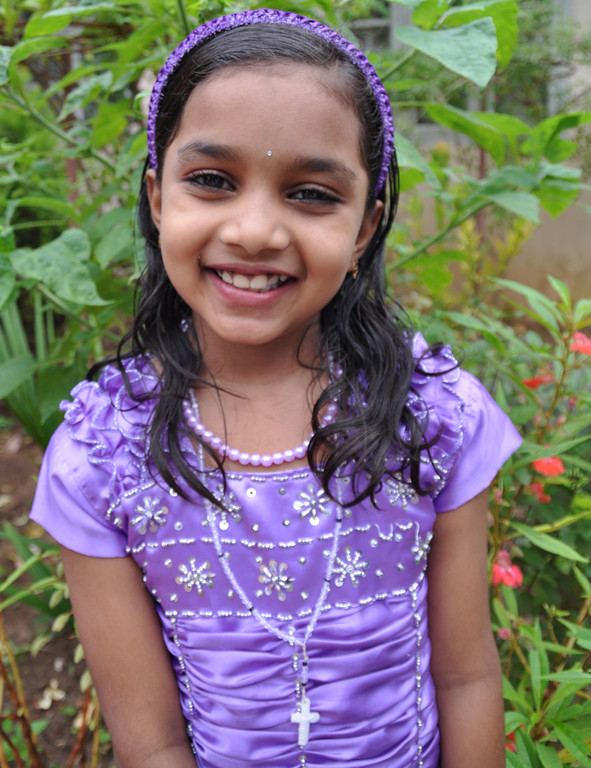 Dach2l_jpg-1320691628