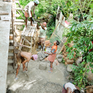 Dach3_jpg-1320692316