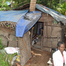 dach4b_jpg-1320692556