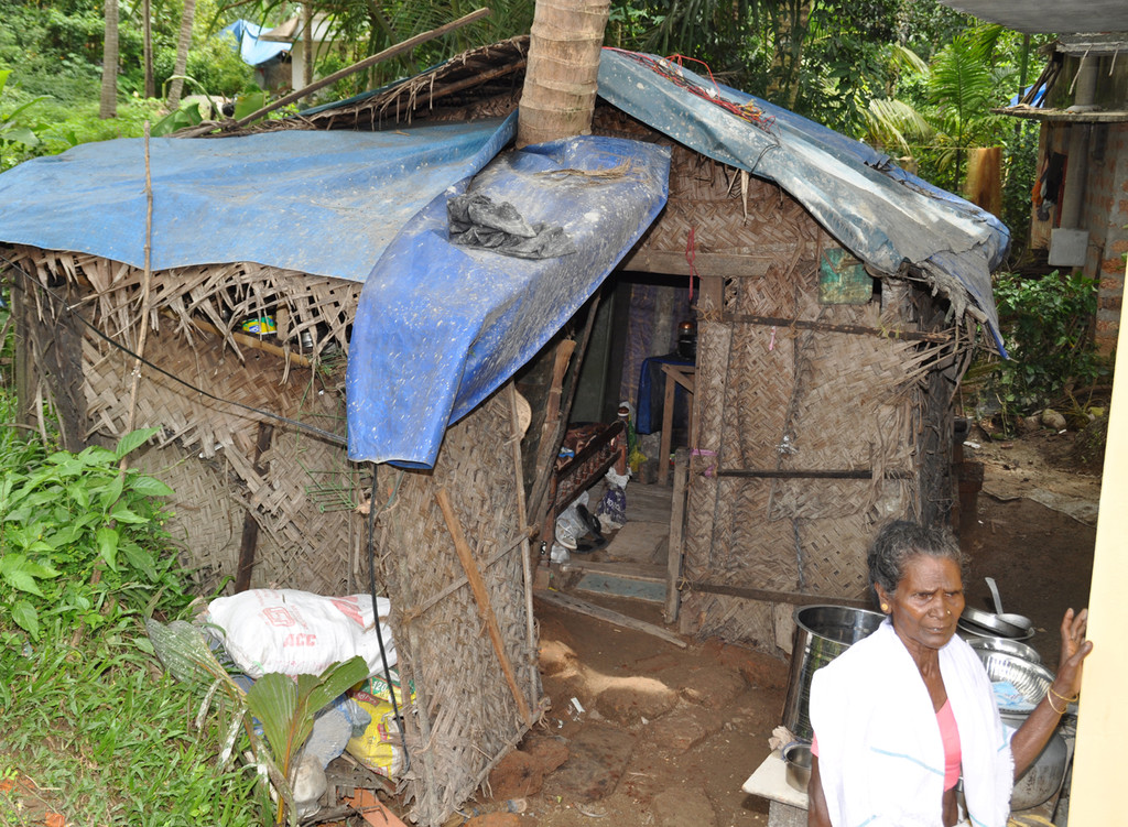 dach4b_jpg-1320692556