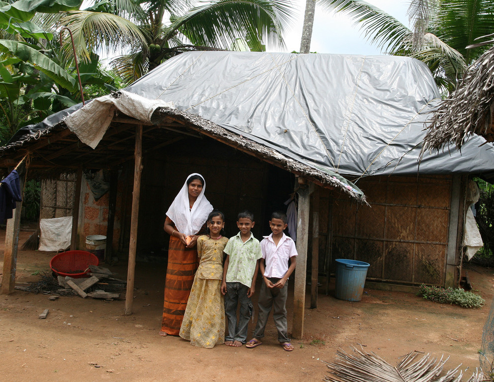 Dach4c_jpg-1320692621