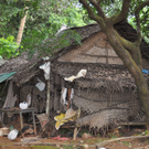 Dach4e_jpg-1320692676