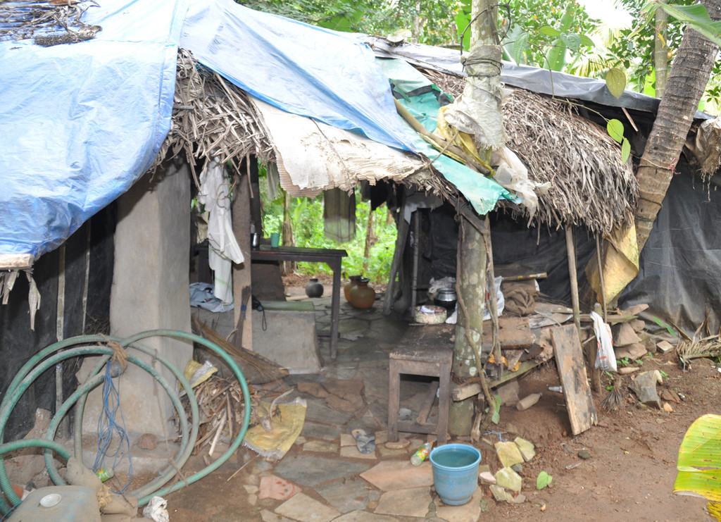 Dach4f_jpg-1320692725